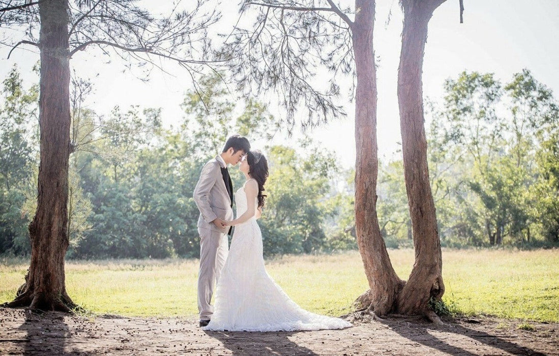 老婆，下輩子我們再一起去看櫻花｜一份跨越時空的感人紀念禮物